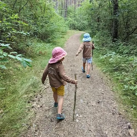 Waldvilla Mit Tiny House Im Kuestenwald