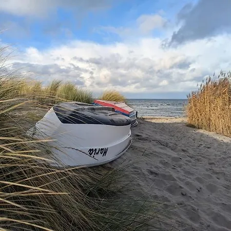 Waldvilla Mit Tiny House Im Kuestenwald Villa *