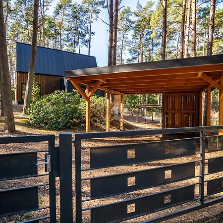 Waldvilla Mit Tiny House Im Kuestenwald Lubmin