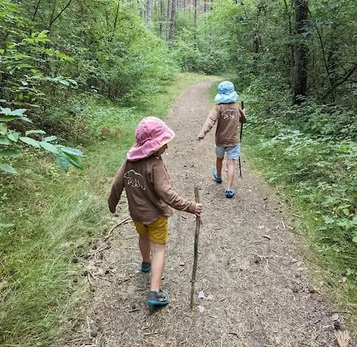 Waldvilla Mit Tiny House Im Kuestenwald