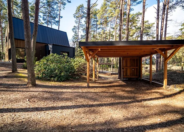 Waldvilla Mit Tiny House Im Kuestenwald *