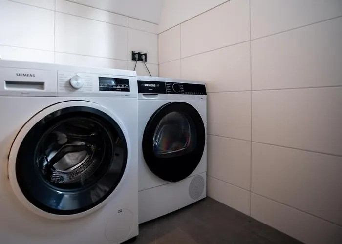 Waldvilla Mit Tiny House Im Kuestenwald *